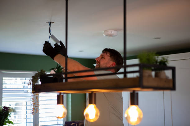 Best Electric Panel Repair  in Bellevue, WI